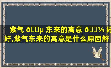 紫气 🌵 东来的寓意 🌼 好不好,紫气东来的寓意是什么原因解释下